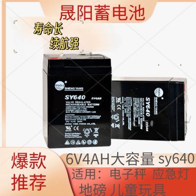 SHENGYANG晟阳蓄电池 SY640 6V4AH 电子称用电瓶