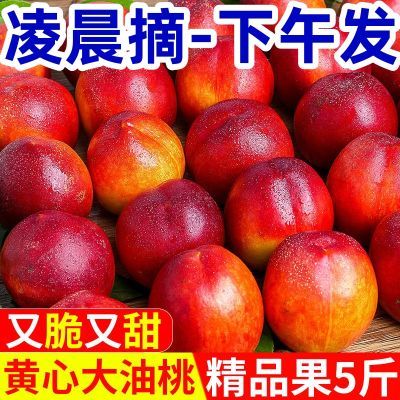 现摘】黄心油桃应季大桃子新鲜水果当季整箱孕妇脆桃非水蜜桃毛桃