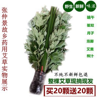 批发现割新鲜艾整棵精品艾草端午挂门上驱蚊虫泡脚鲜艾草新鲜艾草