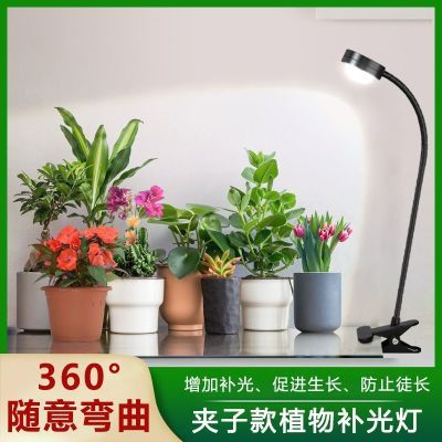 夹子多肉专用补光灯室内绿植全光谱植物生长灯led仿太阳桌面盆栽