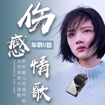 车载音乐U盘高清视频MV伤感情歌歌曲流行MP4车用usb优盘MP3带歌曲