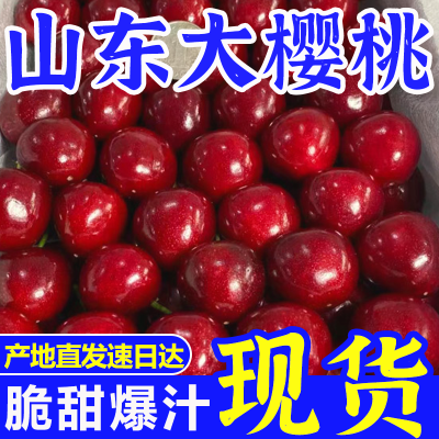 【现货】山东大樱桃水果新鲜国产车厘子大红灯新鲜现摘大连水果