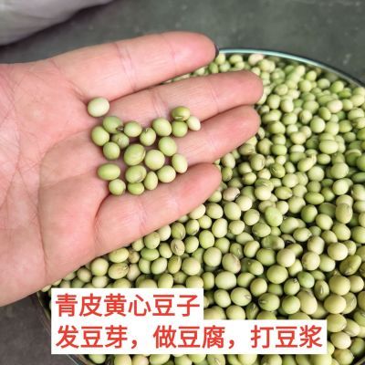 重庆小青皮土黄豆农家自留种非转基因新鲜1/3/5斤可打豆浆做豆腐