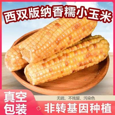 云南西双版纳小花糯玉米新鲜香糯粘玉米真空包装即食减脂粗粮玉米