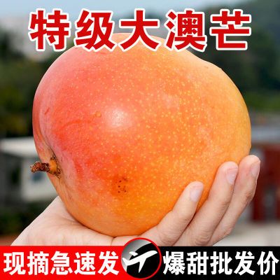 【精品】澳芒苹果芒彩虹芒新鲜应季水果一整箱大果凯特青芒批发价