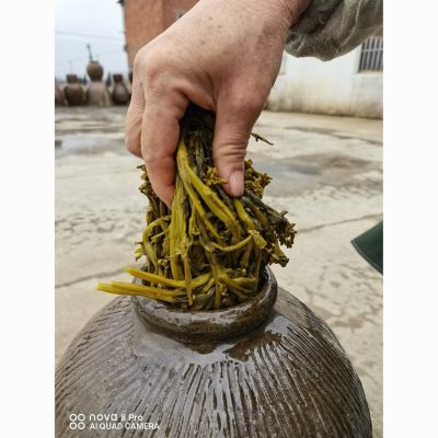 芜湖马鞍山农家老坛腌制油菜苔老坛酸菜正宗来一筷油菜苔咸菜特产