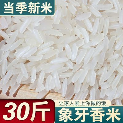 乡谷坊象牙粘米15kg长粒香新米丝苗米煲仔饭长粒米50斤猫牙大米