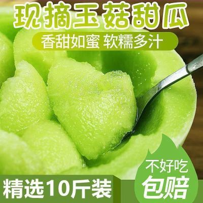 【冰淇淋】山东玉菇甜瓜冰激凌口感软糯香甜应季水果挖勺玉菇甜瓜