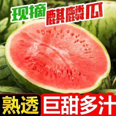 【只卖好瓜】西瓜新鲜水果冰糖麒麟瓜批发应季特甜薄皮瓜整箱装