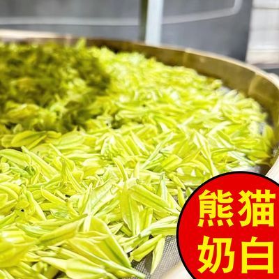 2024新茶特级【熊猫奶白茶】正品浓香奶香特级白茶黄金芽罐装袋装