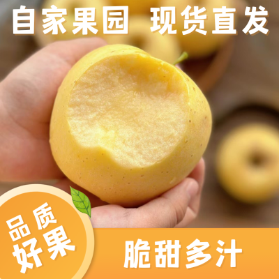 【8-12粒大果】脆甜黄金维纳斯正宗苹果园直发包邮黄皮薄皮
