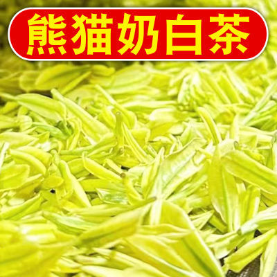 2024新茶特级【熊猫奶白茶】正品浓香奶香特级白茶黄金芽罐装袋装