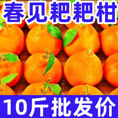 【四川-直发】10斤丑橘耙耙柑春见耙耙柑橘子桔子新鲜水果批发