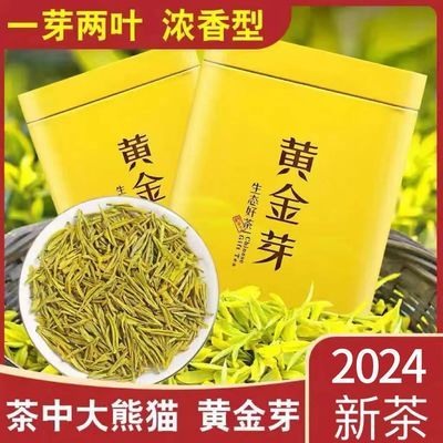 2024安吉珍稀特级黄金芽豆香浓香型新茶明前头采茶叶袋装罐装批发