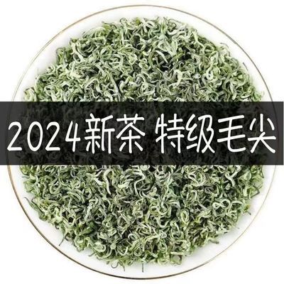 500克特级2024毛尖贵州高山云雾绿茶浓香型散装批发