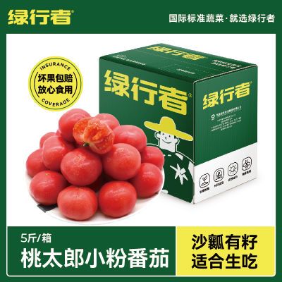 【绿行者】桃太郎小粉番茄5斤单果60g生吃西红柿新鲜蔬菜现摘现发