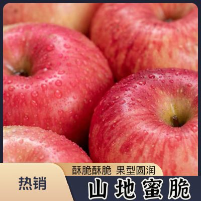 蜜脆苹果水果产地直发原生态