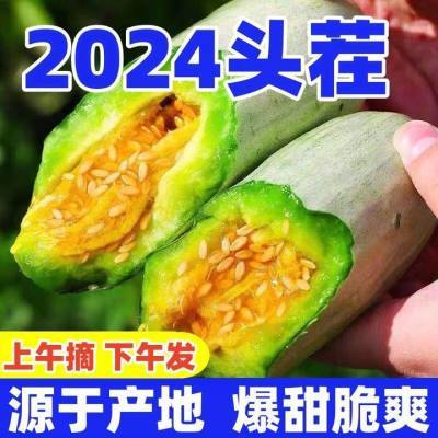 山东羊角蜜甜瓜新鲜当季脆甜蜜瓜香瓜新鲜水果时令羊角脆整箱包邮