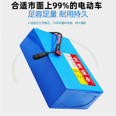 A品动力电芯锂电池24V36V48V大容量外卖车代驾车通用电瓶