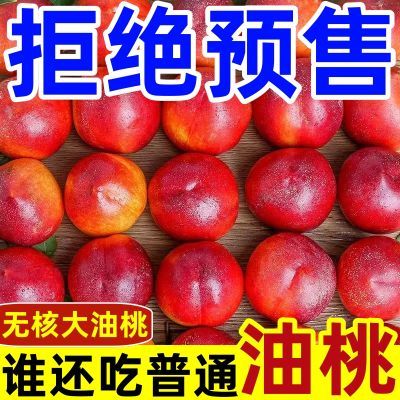 现摘】黄心油桃应季大桃子新鲜水果当季整箱孕妇脆桃非水蜜桃毛桃