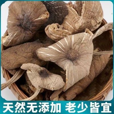 野生鸡枞菌新鲜云南特产干货蘑菇煲汤鲜美