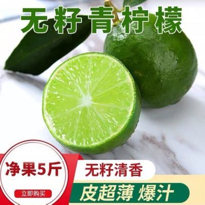 薄皮柠檬薄皮多汁新鲜奶茶店清香青皮新鲜小青柠无籽新鲜鲜果当季