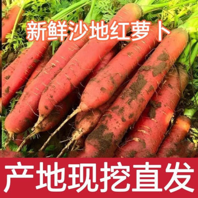 【脆甜】陕西现挖水果红萝卜甜脆生吃胡萝卜纯天然新鲜蔬菜农家种