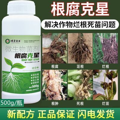 根腐正品克星急救枯草微生物生根芽孢壮苗杆菌根烂根生物菌剂专用