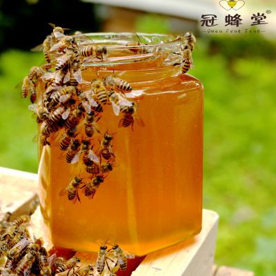 蜂蜜野生成熟原蜜农家自产洋槐蜜百花蜜纯正天然正宗土蜂蜜无添加