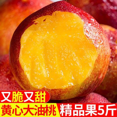 【彩箱】黄心油桃净重4.8斤单果75克新鲜水果当季黄肉油桃子整箱
