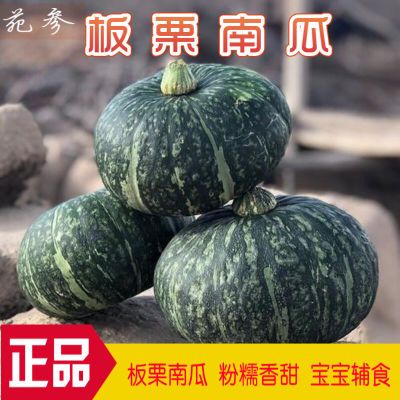 【板栗南瓜】板栗味南瓜3/5/9斤宝宝辅食新鲜南瓜当季新鲜蔬菜