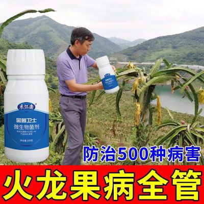 火龙果病全清火龙果杀菌剂微生物菌剂快速杀菌溃疡病软腐病炭疽病