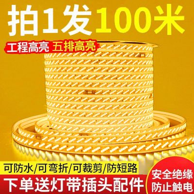 led灯带条超亮100米批发户外亮化工程防水工地220家装养