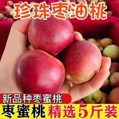 【秋红珠】珍珠枣油桃枣蜜桃枣味小桃子油桃离核水果新鲜应季孕妇