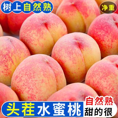 【彩箱现摘】水蜜桃毛桃大桃子9斤新鲜水果当季应季脆甜密桃批发