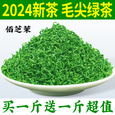 (买一斤送一斤)毛尖绿茶2024新茶叶高山云雾日照充足炒青浓香耐泡