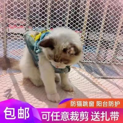 加厚塑料围栏网阳台防护网养殖育雏脚垫防盗窗护栏防坠窗户安全网