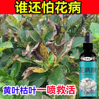 花病康,摇一摇直接喷,防治花卉绿植上的多种病害家庭常备免稀释