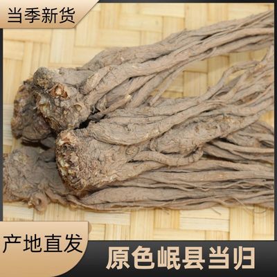 全须当归新货无硫熏纯天然正品中药材新鲜农家晒干可泡水煲汤泡酒