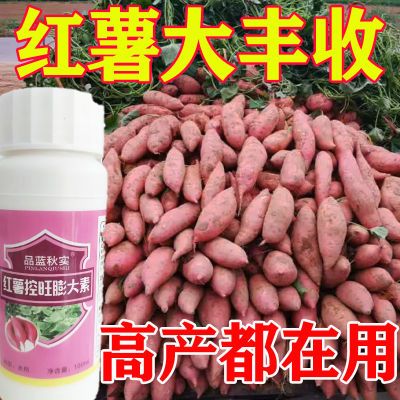 红薯专用膨大素红薯专用肥控旺增产防裂抗病红薯叶面肥膨大素正品