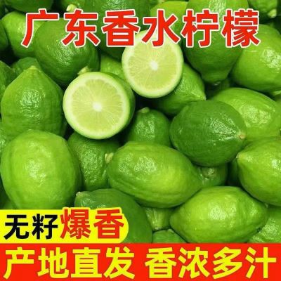 正宗广东香水柠檬一级果9斤1奶茶店专用批发水果包邮
