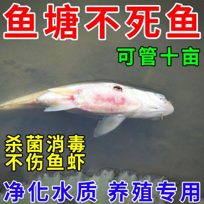 鱼塘净水剂池塘变清养鱼专用净水剂鱼塘杀毒菌除臭水变清水质净化