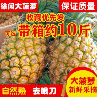 徐闻大菠萝新鲜菠萝2个试吃/5斤/8斤/10斤除味非都乐手撕凤梨水果