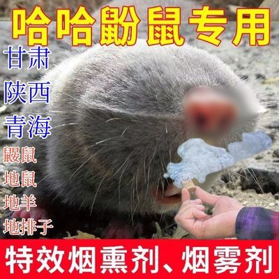 烟熏哈哈烟雾灭哈哈瞎佬田老鼠地排子地爬子哈老药地下哈哈药鼢鼠