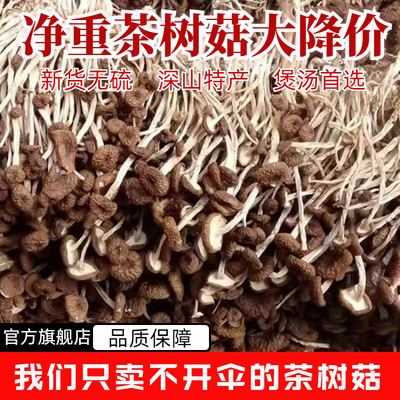 古田茶树菇干货不开伞农家特产香菇新货特级蘑菇煲汤干货菜类