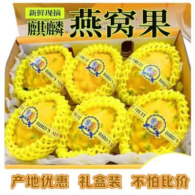 【产地优惠】燕窝果礼盒装新鲜麒麟果大果精品热带水果黄色火龙果