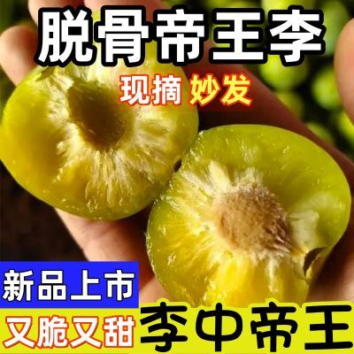 正宗四川脱骨李脆红李茵红李五月脆土李子当季新鲜脆甜空心青脆李