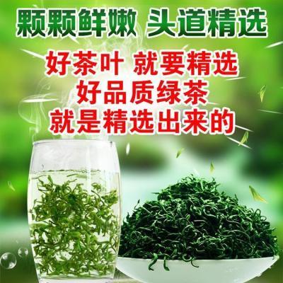 山东日照绿茶正宗2024新茶特级明前绿茶板栗香浓香型茶叶500g袋装