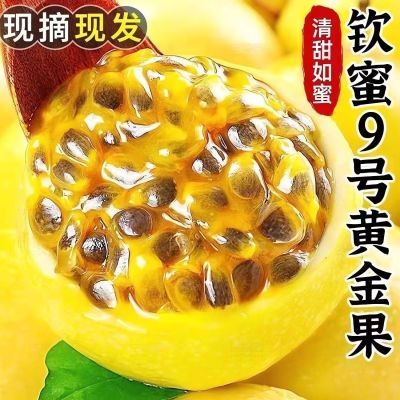 【黄金百香果】纯甜可口多汁热带水果钦蜜9号金色百香果海南广西