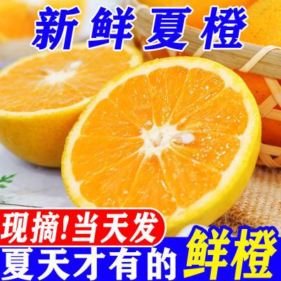 【新客立减】当季新鲜橙子脐橙孕妇水果当季薄皮手剥夏橙榨汁专用